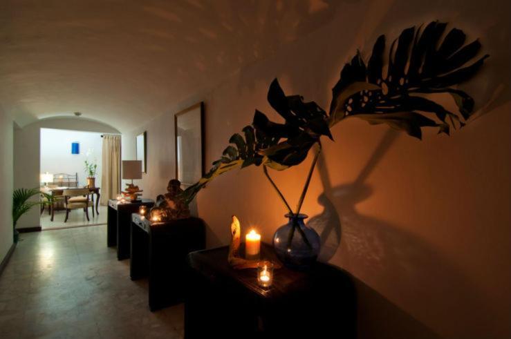 Mynt Retreat Bed & Breakfast Montego Bay Eksteriør billede